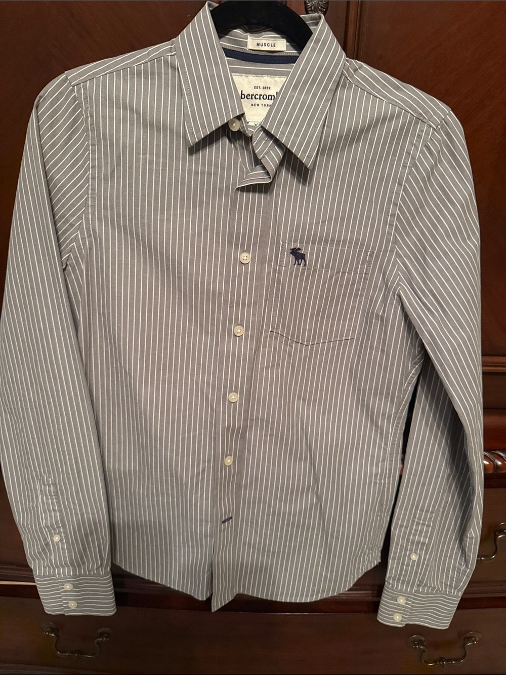 Abercrombie & Fitch Gray and White Pinstripe Dress Shirt